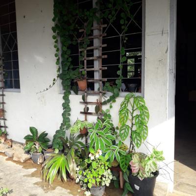 3bd5d738 E3f2 4a84 9d86 8a3388c732a7