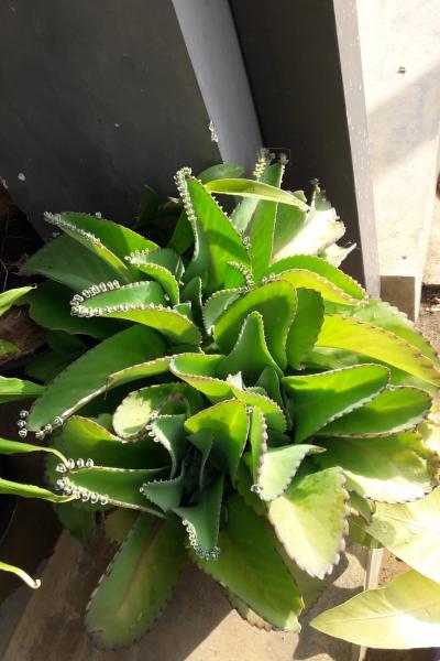 Be7e884e F95b 4031 99f7 75ab2c9d71f5